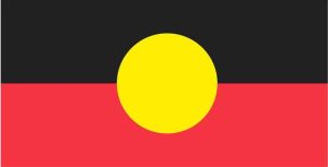 SUBJECT SPINE LABELS LARGE 42 W X 22 H MM ABORIGINAL FLAG / PKT 200